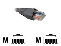 Nexxt – Cable de interconexión – RJ-45 (M) a RJ-45 (M)